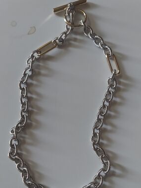 Two-Tone Chain Necklace with Toggle Clasp...16 Inch